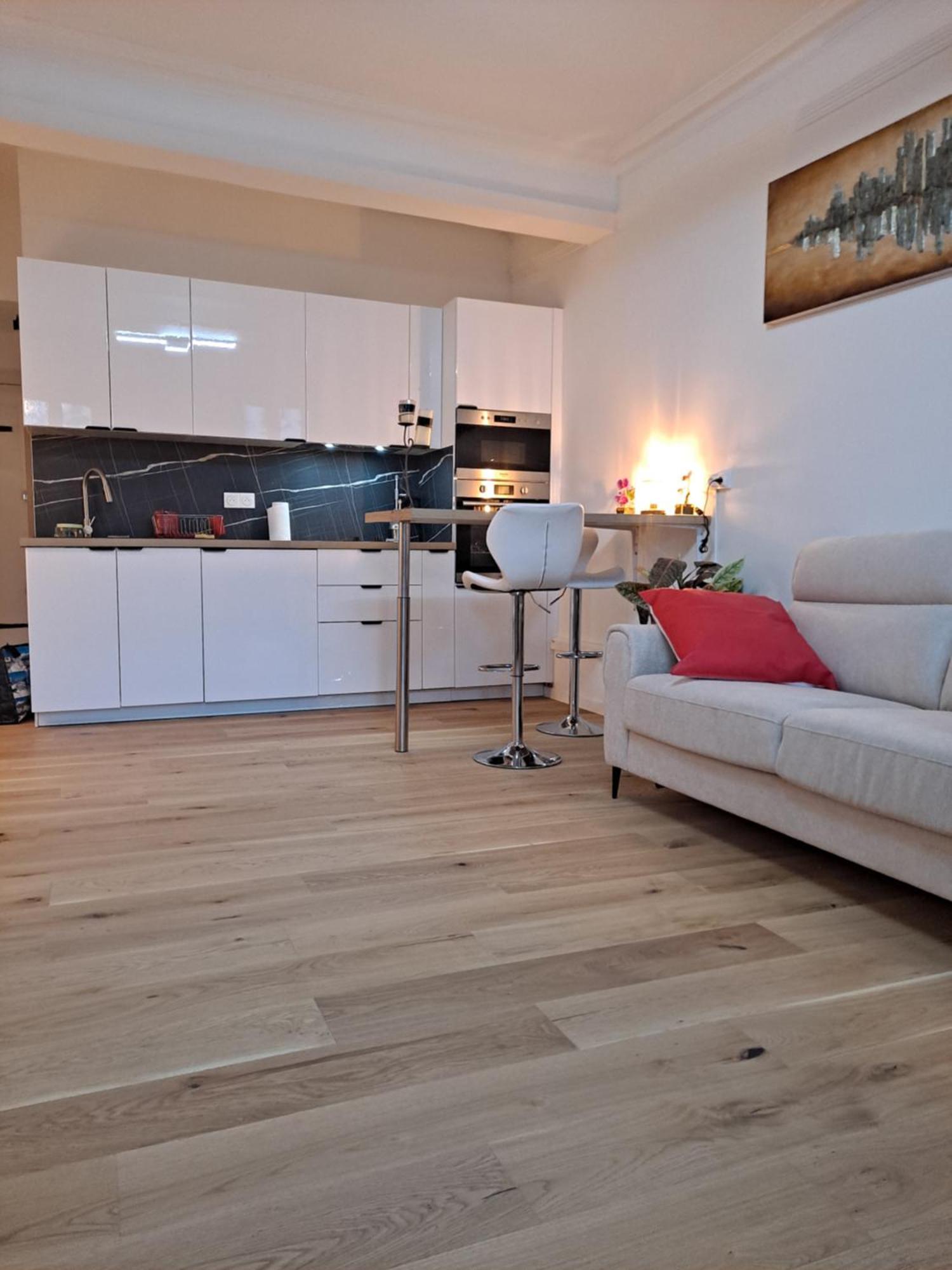 Loft Notre Dame Annecy Apartment Luaran gambar